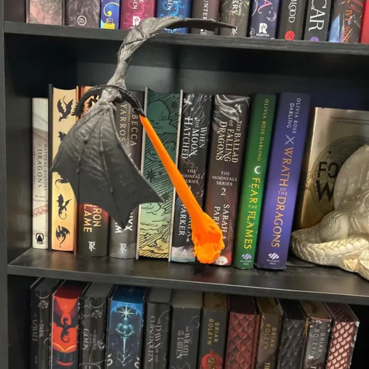 Customer Dragon Lamp Display